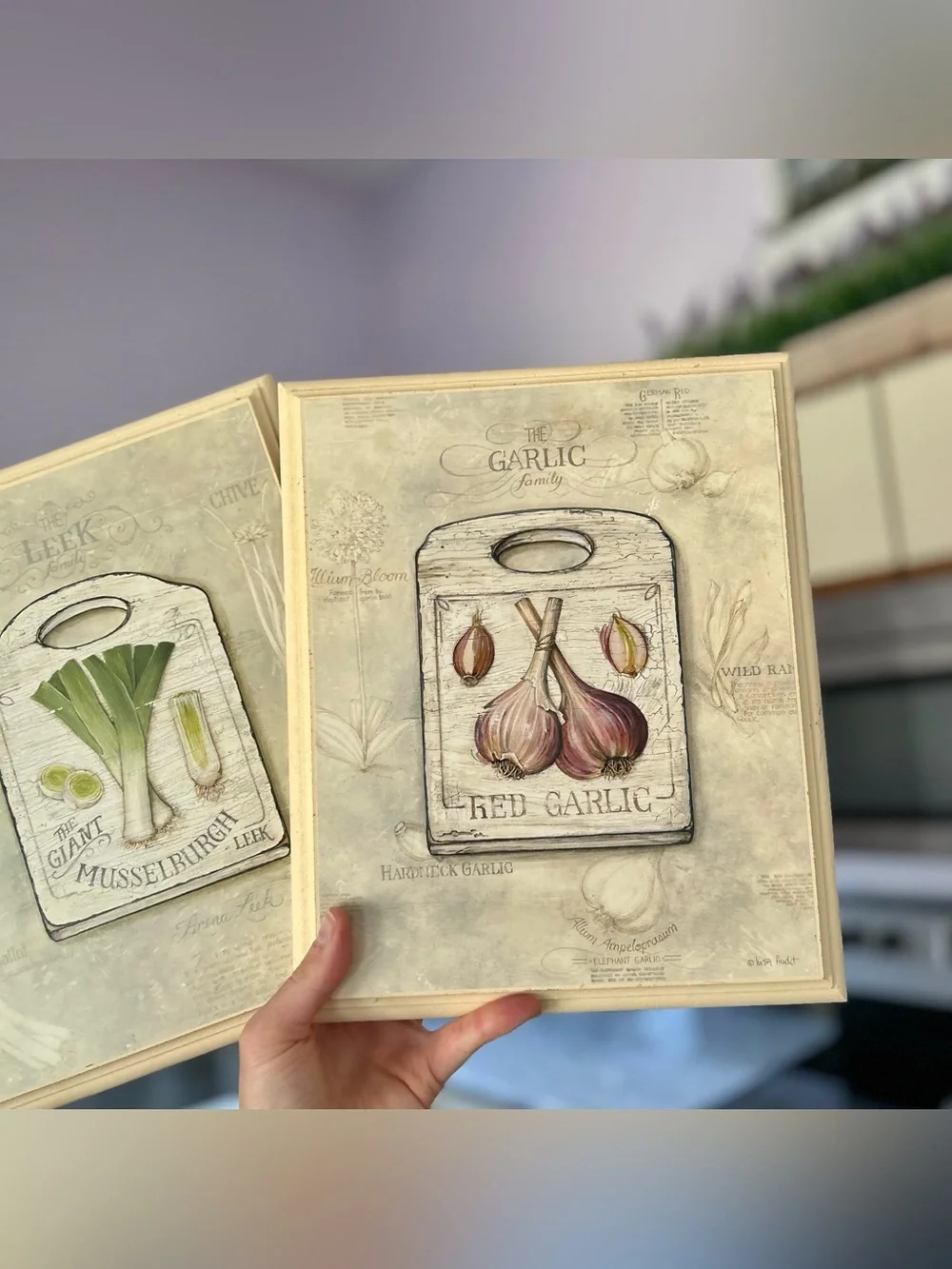 Set of 2 Framed Kitchen Plaques Garlic & Leek On Cuttingboards 8x10 Wall Decor